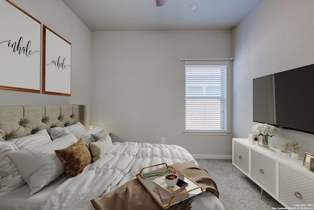 view of carpeted bedroom