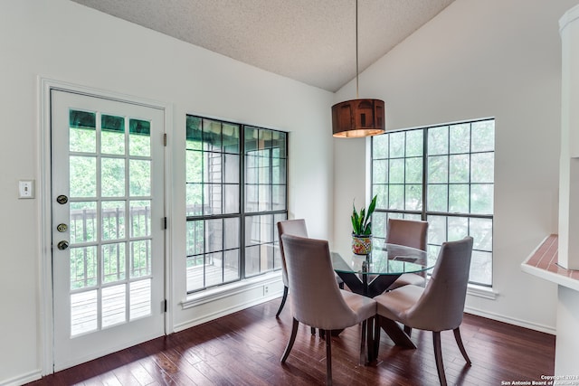 dining space with vaulted ceiling, dark hardwood / wood-style floors, a textured ceiling, and a healthy amount of sunlight