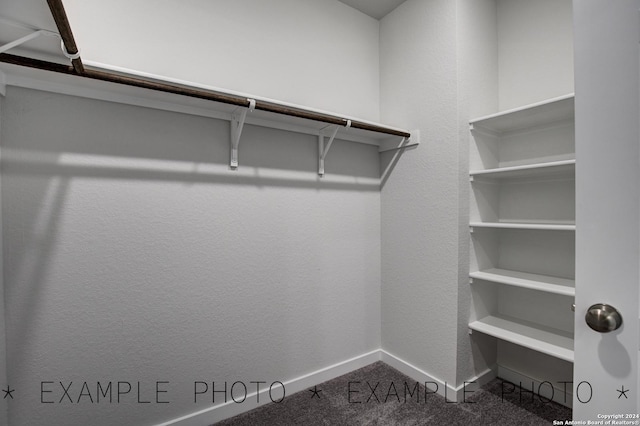 spacious closet with carpet