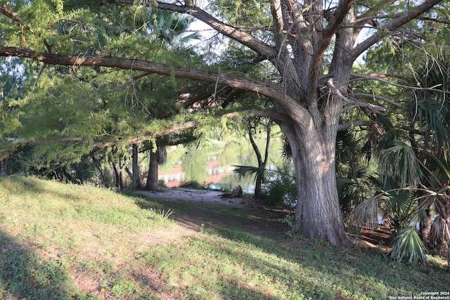 view of yard with a water view