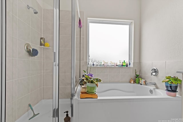 bathroom with shower with separate bathtub