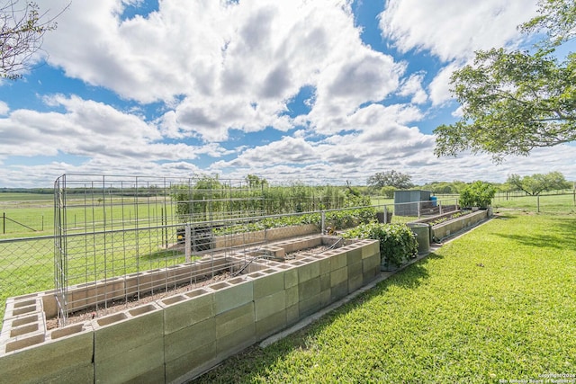 view of yard with a rural view