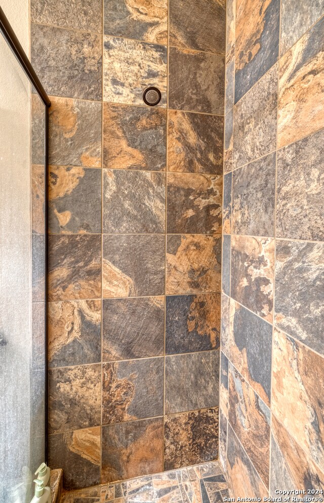 interior details featuring tiled shower