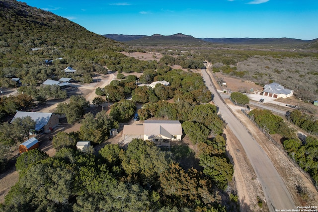 birds eye view of property featuring a mountain view