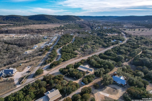 birds eye view of property featuring a mountain view