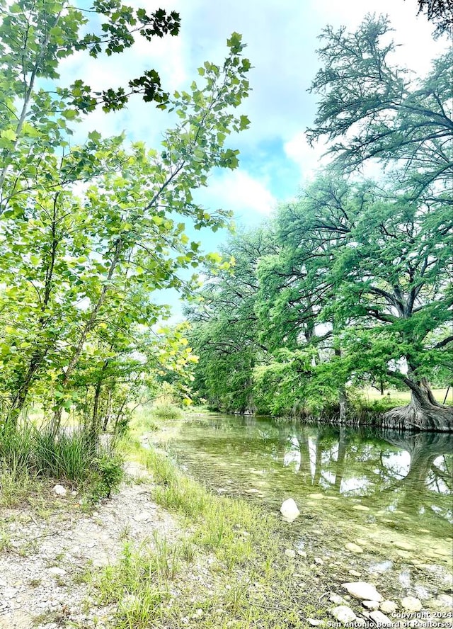 view of local wilderness featuring a water view