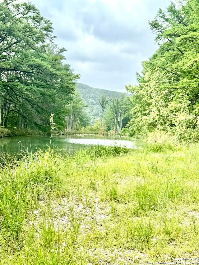 view of landscape featuring a water view