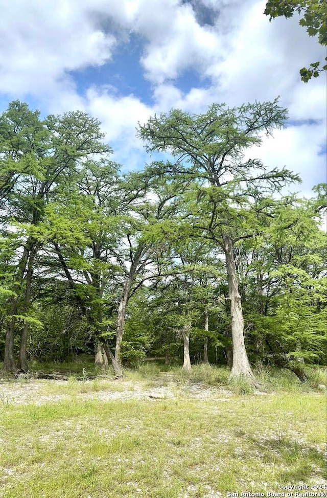 view of nature