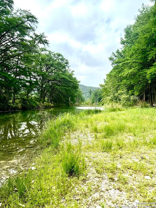 view of nature featuring a water view