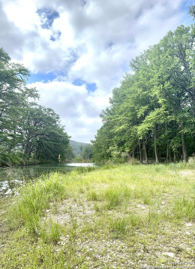 view of local wilderness featuring a water view