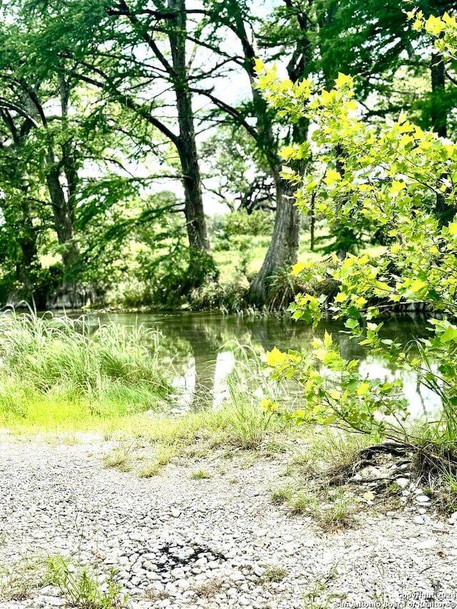 view of nature featuring a water view