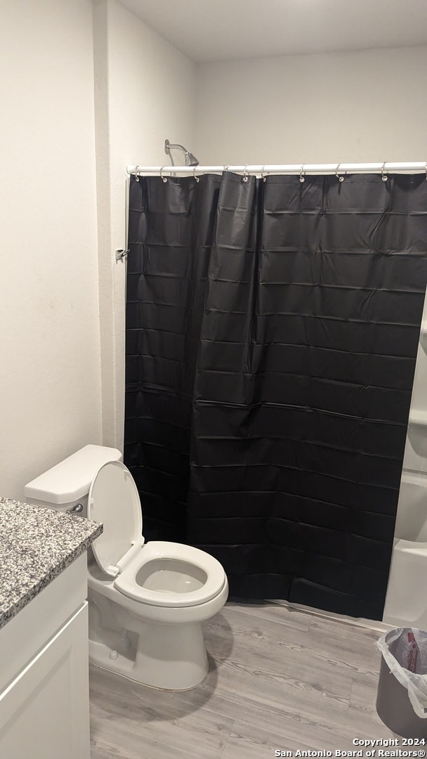 bathroom featuring hardwood / wood-style flooring, vanity, and toilet