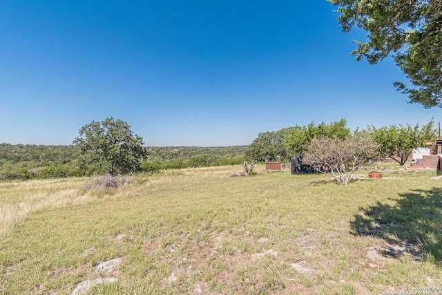 117 Hawk Rd, Fredericksburg, TX 78624 - view of yard