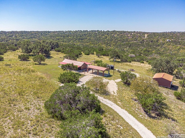 117 Hawk Rd, Fredericksburg, TX 78624 - birds eye view of property featuring a wooded view