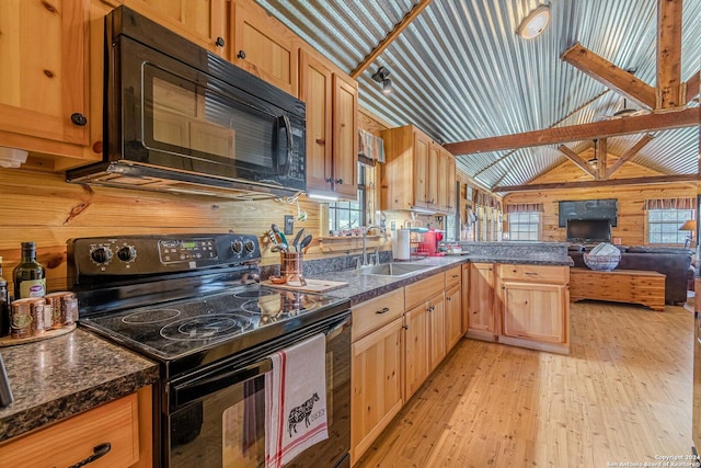 117 Hawk Rd, Fredericksburg, TX 78624 - kitchen featuring black appliances, light wood-style floors, a sink, and plenty of natural light