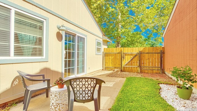 view of yard featuring a patio area