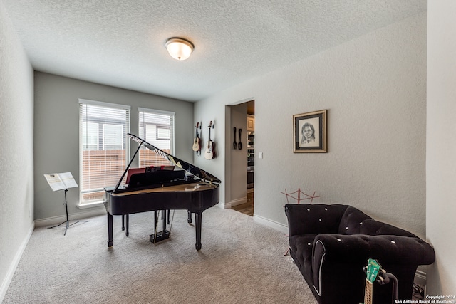 misc room featuring light colored carpet and a textured ceiling