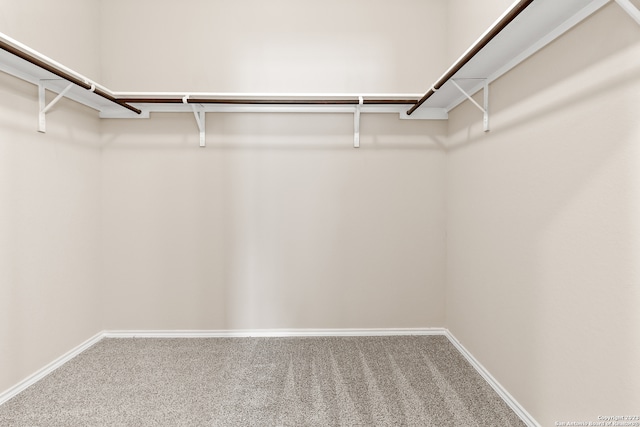 spacious closet with carpet