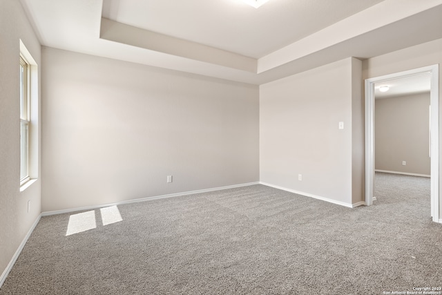 spare room with carpet floors and a raised ceiling