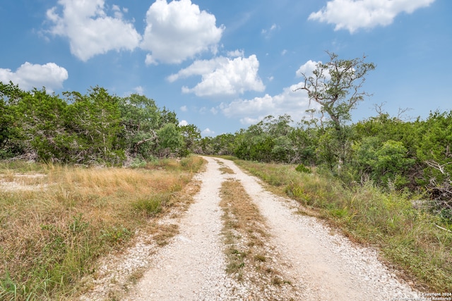 Listing photo 2 for 175 County Road 2758, Mico TX 78056