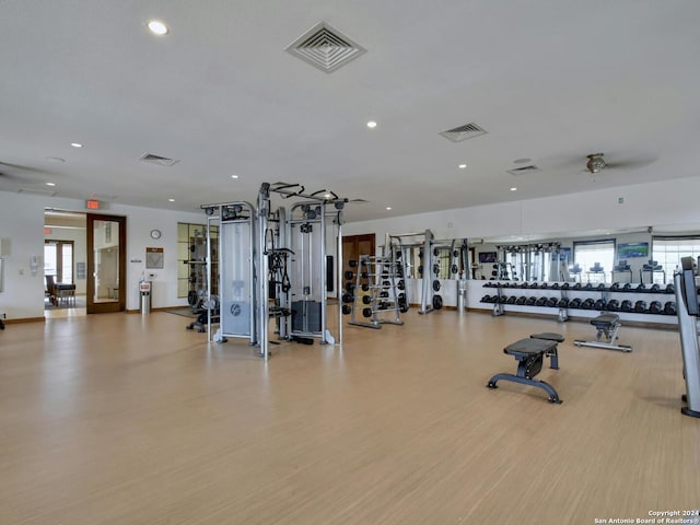 exercise room featuring light wood-type flooring and plenty of natural light