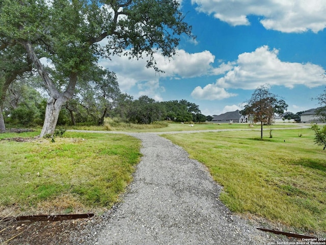 view of community featuring a lawn