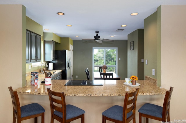 461 Naked Indian, New Braunfels, TX 78132 - kitchen featuring light stone counters, a ceiling fan, stainless steel fridge, a peninsula, and visible vents