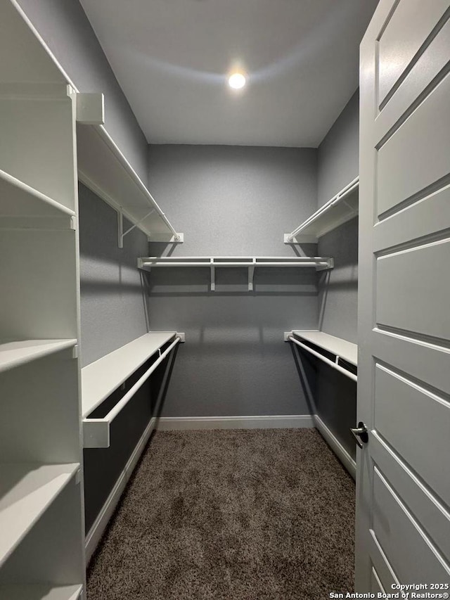 walk in closet with dark colored carpet