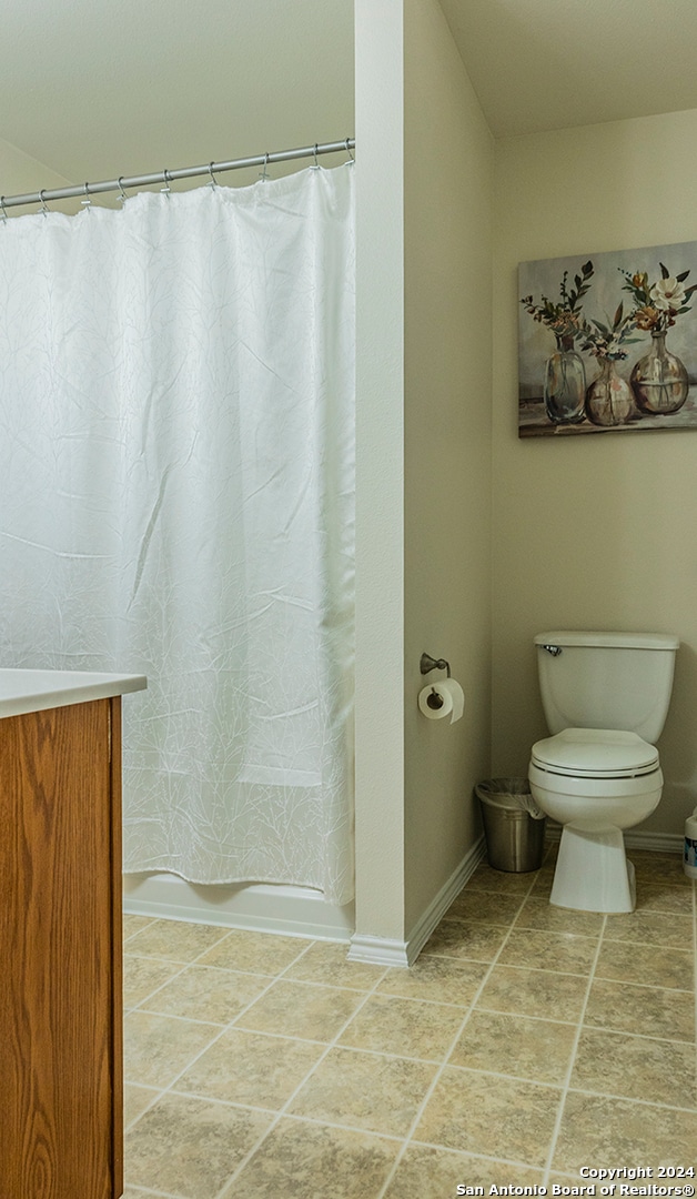 bathroom with vanity, toilet, and a shower with shower curtain