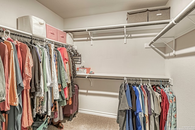 spacious closet featuring carpet floors