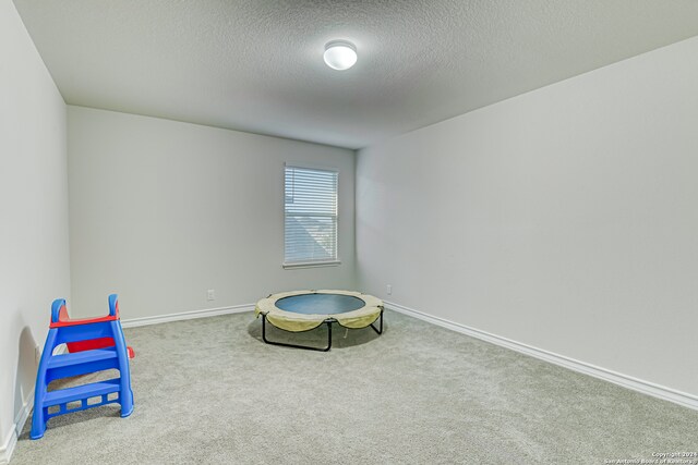 sitting room with a textured ceiling and carpet flooring