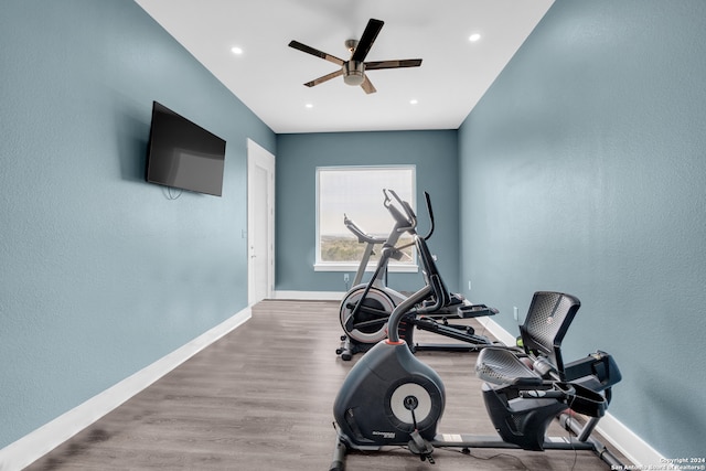 exercise room featuring ceiling fan and hardwood / wood-style flooring