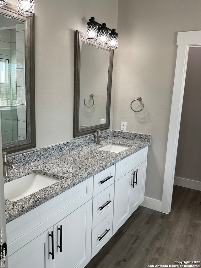 bathroom with wood-type flooring and vanity