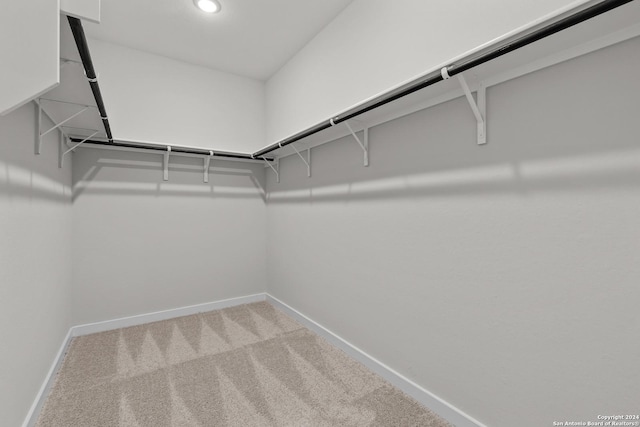 spacious closet featuring light colored carpet