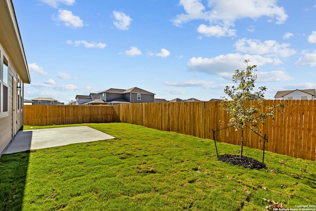 view of yard featuring a patio area