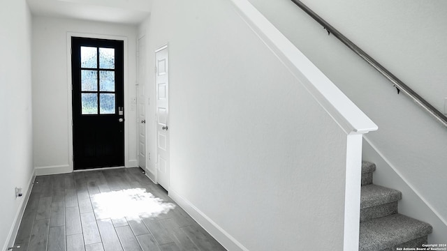 entrance foyer featuring dark wood-type flooring