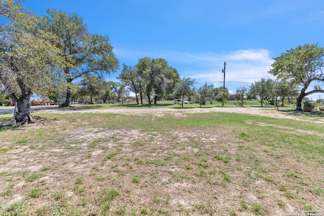 23011 White Hickory, Elmendorf TX, 78112 land for sale