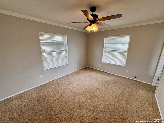 unfurnished room with ceiling fan, carpet floors, and crown molding