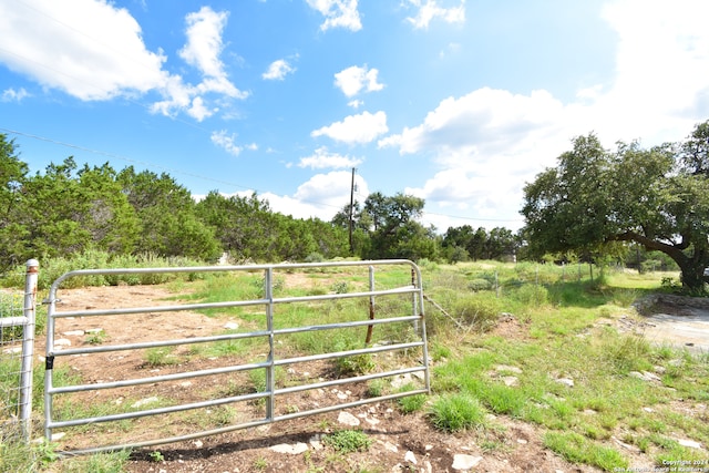 view of yard featuring a rural view