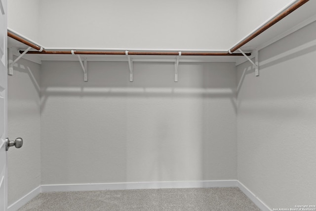 spacious closet featuring carpet flooring
