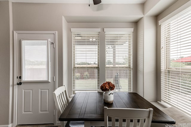 dining area with ceiling fan