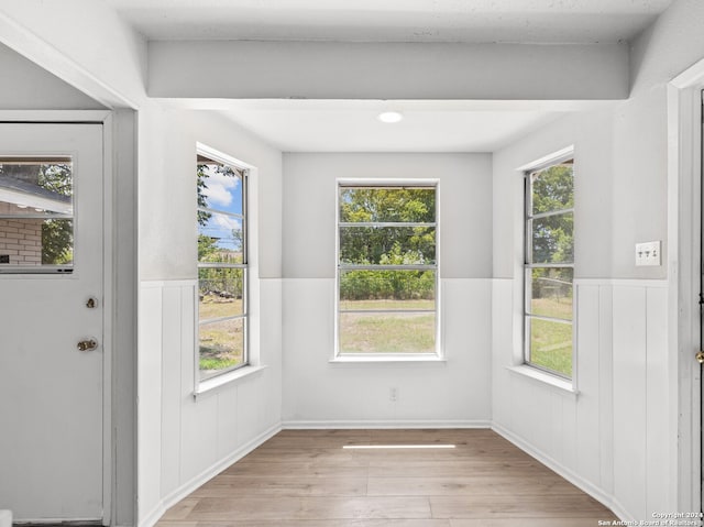 entryway with a healthy amount of sunlight and light hardwood / wood-style flooring