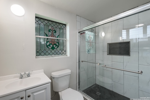 bathroom with vanity, toilet, and an enclosed shower