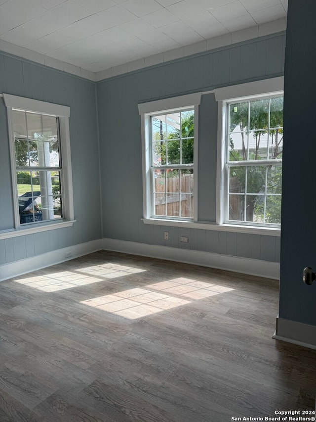 unfurnished room with wood-type flooring and a wealth of natural light