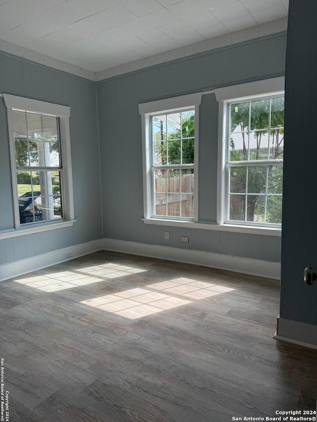 unfurnished room with a healthy amount of sunlight and wood-type flooring