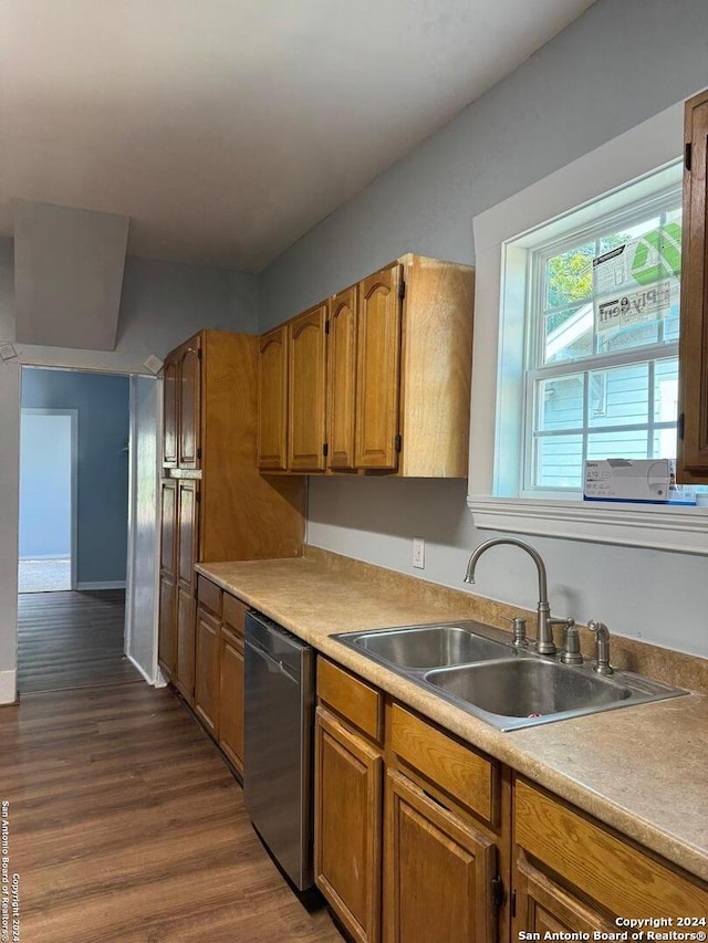 kitchen featuring dishwasher, dark hardwood / wood-style floors, and sink