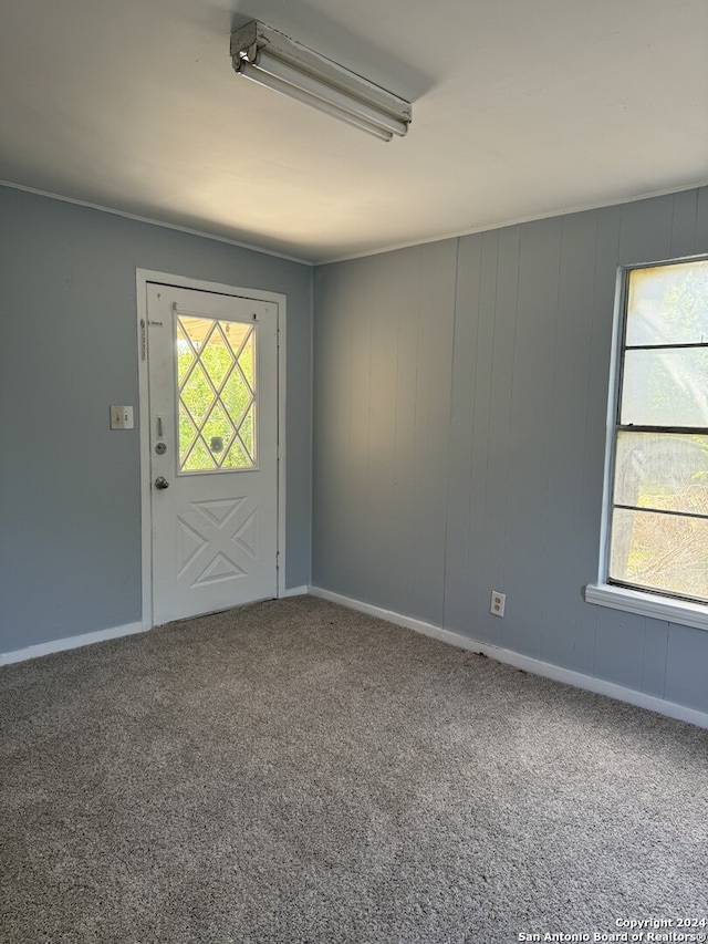 carpeted spare room featuring a healthy amount of sunlight