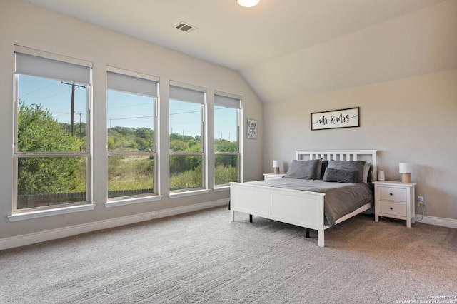 bedroom with lofted ceiling and carpet floors