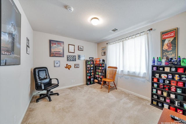 sitting room featuring light carpet