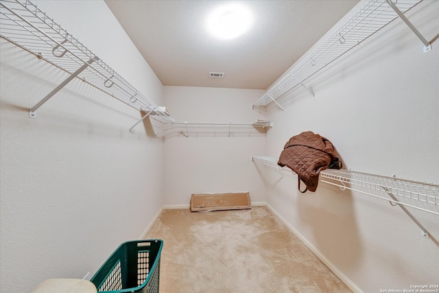 spacious closet featuring light colored carpet